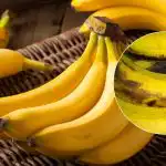 Bananen worden wekenlang niet zwart: een eenvoudige truc die maar