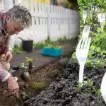 De buren lachten tot ze het resultaat zagen: waarom vorken nodig zijn in de moestuin De buren lachten tot ze het resultaat zagen: waarom vorken