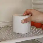 Duitsers gecontroleerd: waarom toiletpapier in de koelkast leggen