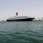 Een nieuwe stam van een gevaarlijk virus heeft uitbraken veroorzaakt