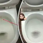 Eén product maakt je toiletpot stralend wit: hoe je tandplak