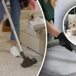 Er blijft geen enkel spoor achter: 7 stappen om urinegeur