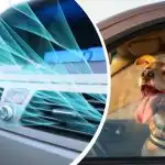 Hittegolf treft Oekraïne: hoe het interieur van de auto snel te koelen zonder airconditioning Hittegolf treft Oekraïne: hoe het interieur van de auto snel