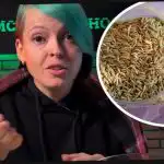 Hoe je ciderplanten kiest en je buren verrast met een