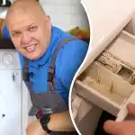 Hoe maak je een wasmachine vrij van schimmel en geurtjes: tips van experts om geld te besparen Hoe maak je een wasmachine vrij van schimmel en geurtjes: