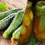 Komkommers sluiten in chiliketchup voor de winter: 3 weergaloze recepten Komkommers sluiten in chiliketchup voor de winter: 3 weergaloze recepten