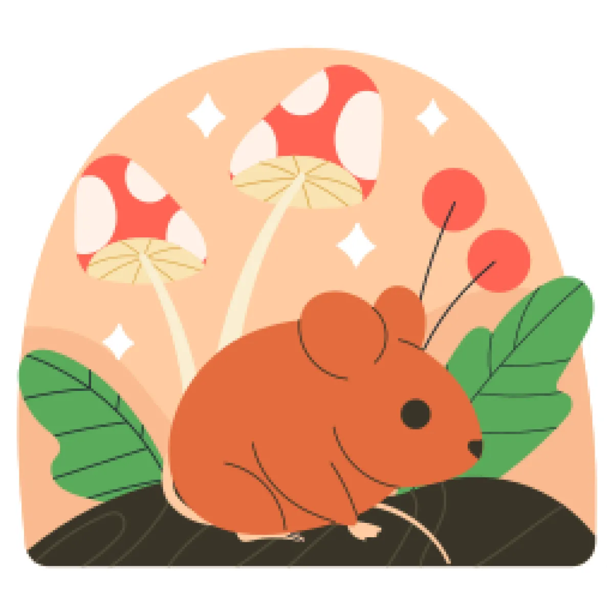 Nuttige tips en life hacks voor dagelijks gebruik