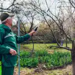 Verstandige tuiniers bespoten de tuin met één product: geen enkele