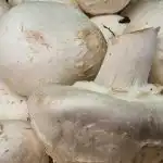 Waarom je champignons niet kunt wassen voor het grillen als je een korstje wilt: tips voor huisvrouwen waarom-je-champignons-niet-kunt-wassen-voor-het-grillen-als.jpg