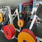 Waarom je niet moet drinken tijdens het sporten: ontdekking van sportfysiologen waarom-je-niet-moet-drinken-tijdens-het-sporten-ontdekking-van.jpg