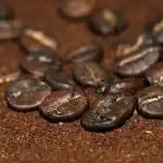 Waarom koffiedik oprapen na het ontbijt: een geheim wapen voor huis en tuin waarom-koffiedik-oprapen-na-het-ontbijt-een-geheim-wapen-voor.jpg