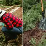 Hoe je merkt dat de grond in je tuin "stervende"